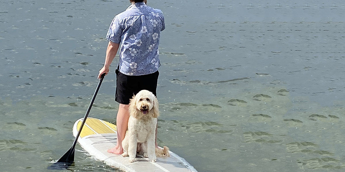 Q&A with Logan Hansen