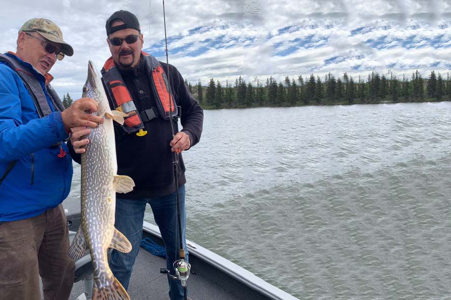 Q&A with Marc Meloche